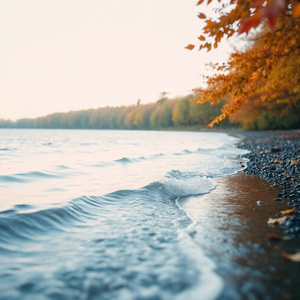 Hej, Dunáról fúj a szél