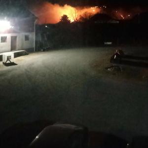 Hva skulle vi gjort uten bonden? Roligere versjon