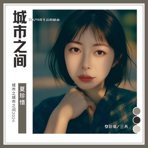 城市之间2024