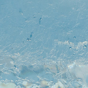 물고기 (feat.안다영)