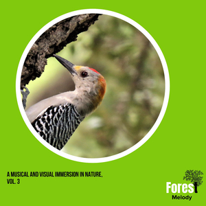 Multitudionus Lizard Chorus