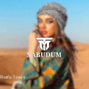 Nabudum