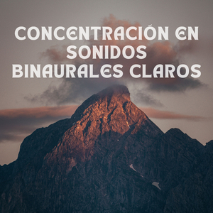 Sentido Tranquilo