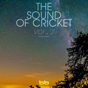 Cricket Sound at Dongjak