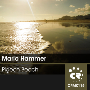 Pigeon Beach (Henry L Remix)