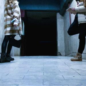 Budimpesta (Alternativni Cut)