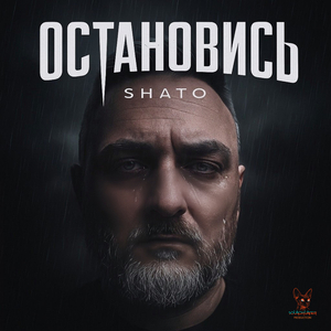 Остановись