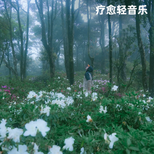 繁花盛景 (呈现花海绚烂的音乐画卷)