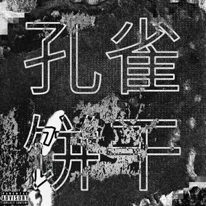 晚安饼干（Gr33nart Beats）