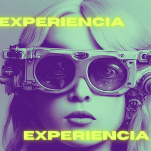 Experiencia