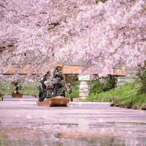 世界は恋に落ちている acoustic ver