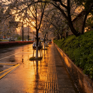 祭奠青春里的勇敢爱情