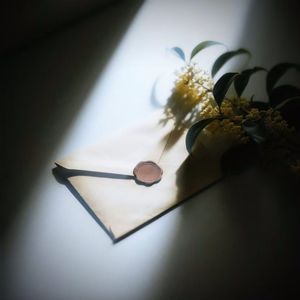 So Sick Freestyle(PROD.Inspectah)