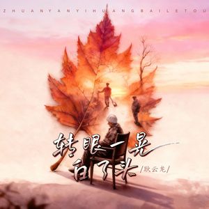 转眼一晃白了头