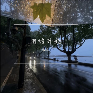 当泪掉进屏幕 你那边会下雨吗