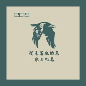 从未落地的鸟