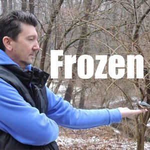 Frozen