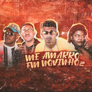 Me Amarro em Novinho 2 (feat. Mc Carol)