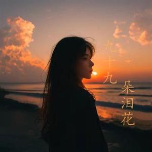 九十九朵泪花 (DJ版)