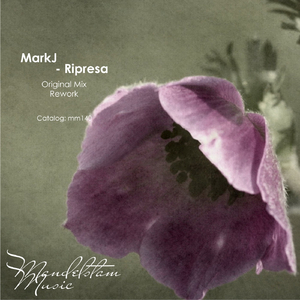 Ripresa (Original Mix)