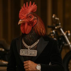 El gallo fino