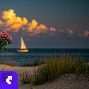 工位奏鸣曲 (现场)