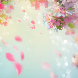 二胡版(桃花不见)