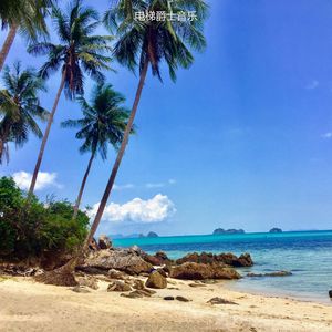 适合居家办公温柔的音乐