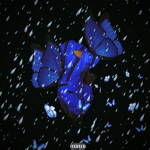 雨中的蝴蝶(Prod EVOMUSIC)