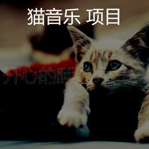 微妙的猫心情