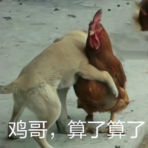 upupu（鸡哥版）