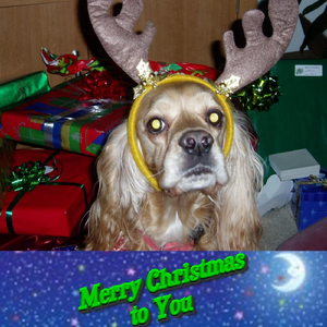 Christmas Mem'ries