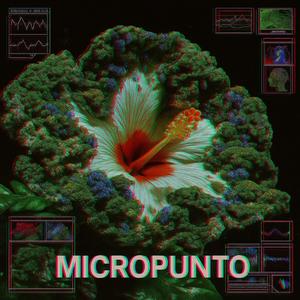 Micropunto