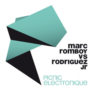Picnic Electronique (Original Mix)
