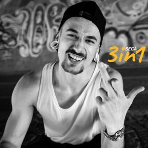 3in1