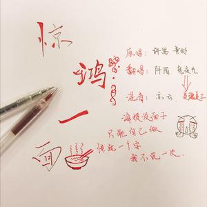 惊鸿一面