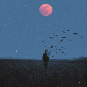 放下一个人就不要再联系（语录版）