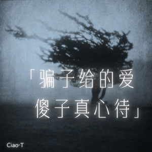 骗子给的爱 傻子真心待（沧桑版）