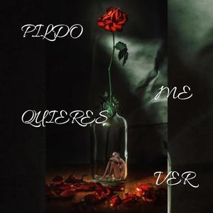 Me Quieres Ver