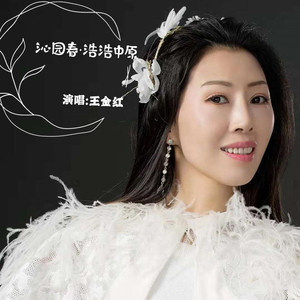 河洛大鼓 沁园春.浩浩中原