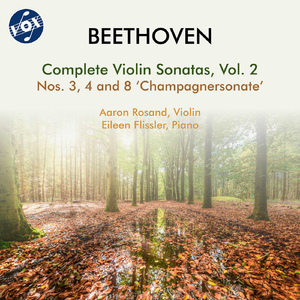 Violin Sonata No. 3 in E-Flat Major, Op. 12, No. 3:II. Adagio con molto espressione