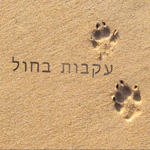 עקבות בחול