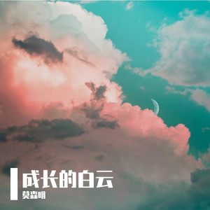 友情长存 随心指弹睡眠版