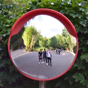 己亥芒种·寻津 Demo（instrument）