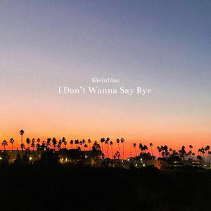 I Don't Wanna Say Bye