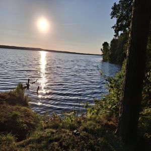 Против всех