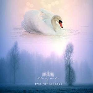 쇼팽의 왈츠 가단조 (빗소리 모드)