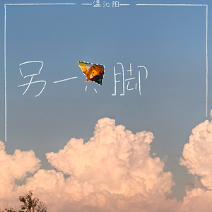 另一只脚