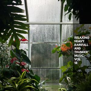 Solitary Moderate Rain on Puddles