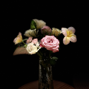 就业的奋进之歌